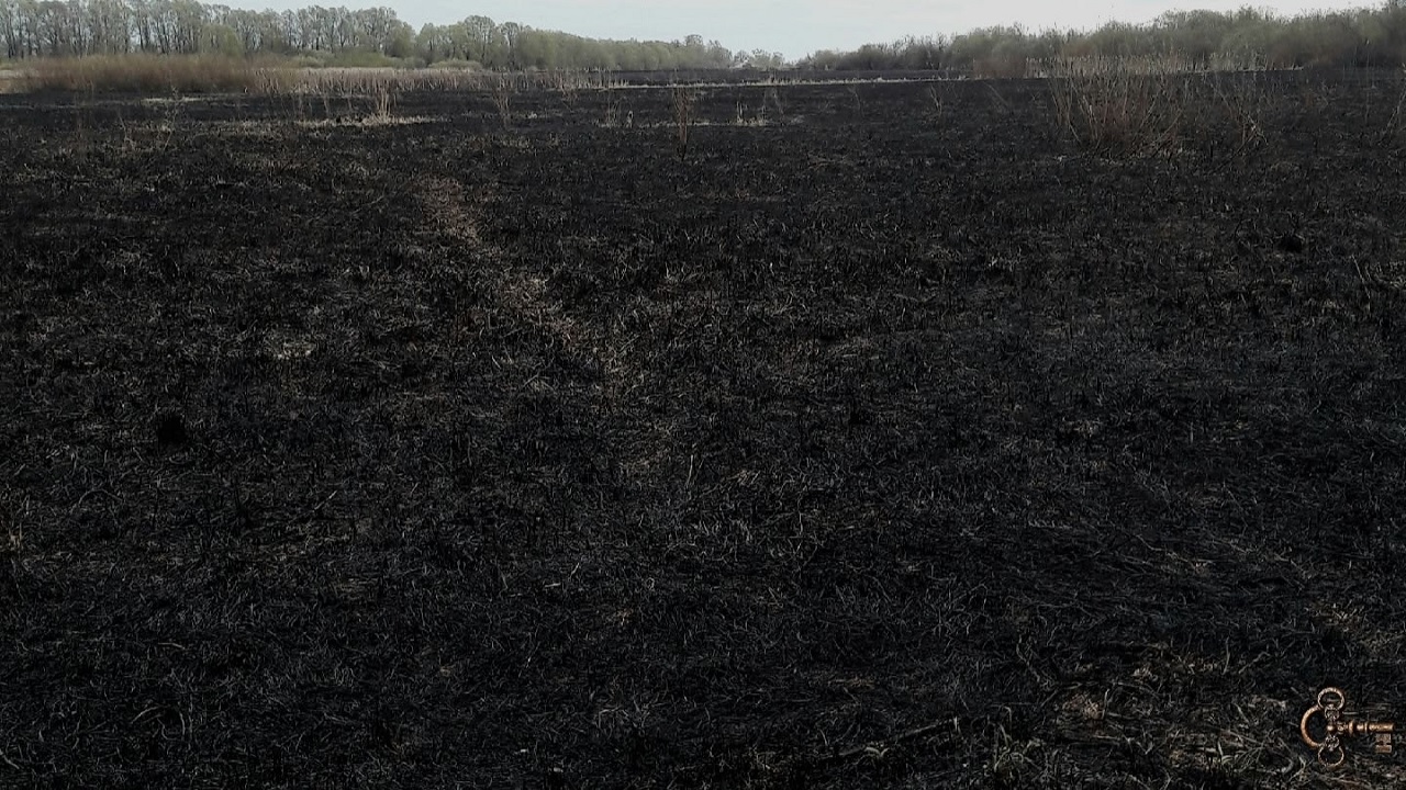 Сгоревшее поле за ручьём Тарасовец