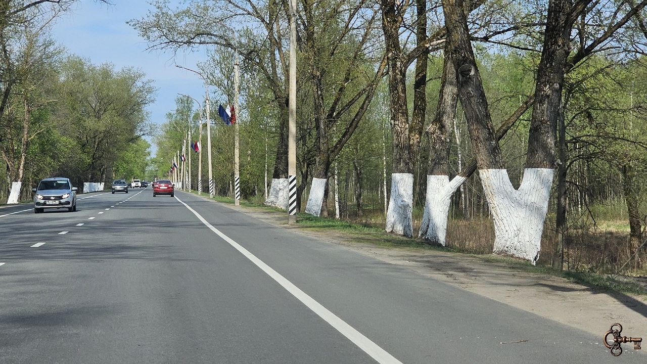 Побелка деревьев