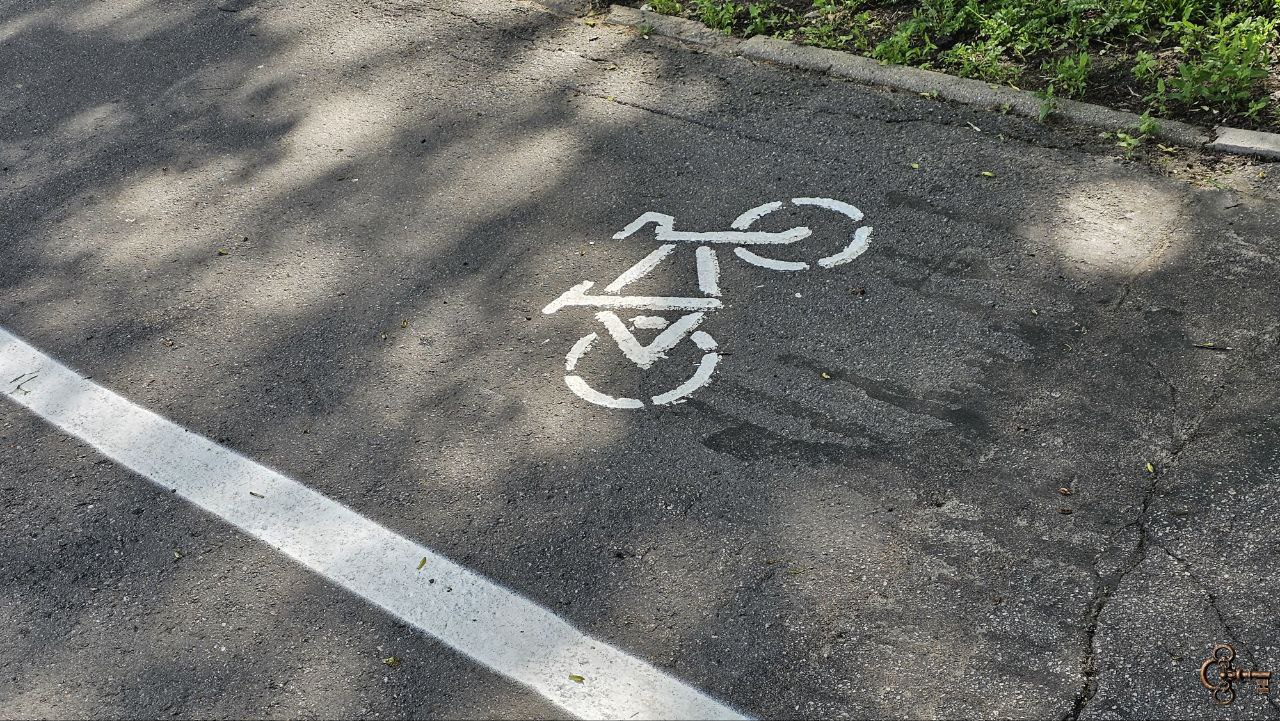 На велодорожках в Великом Новгороде обновили разметку