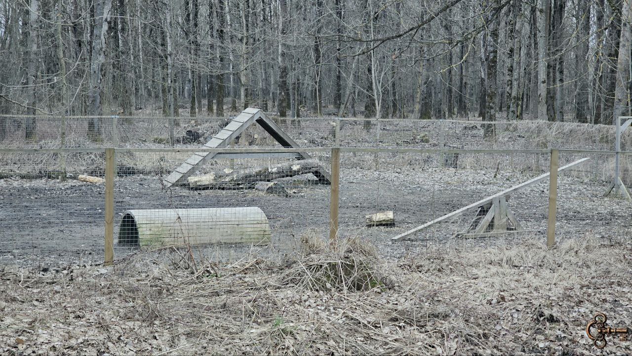 Красное поле