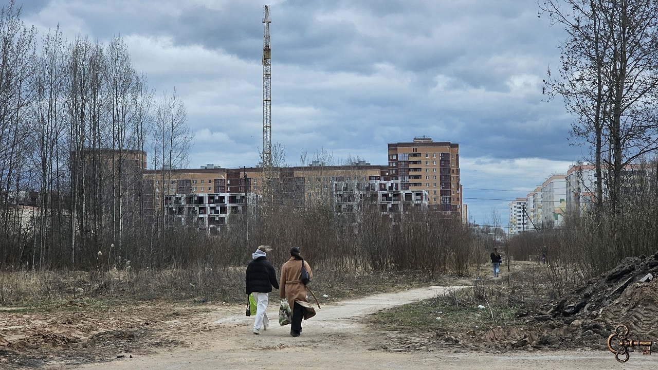 Улица профессора Сороки