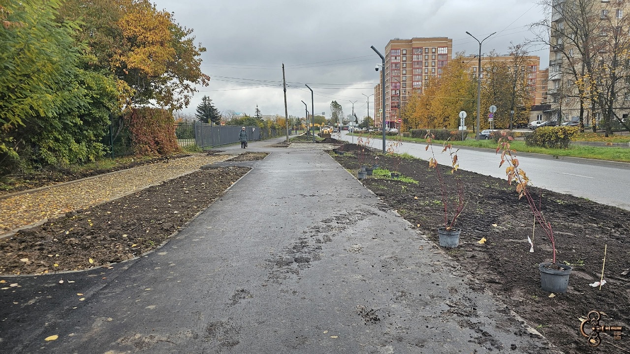 Улица Попова