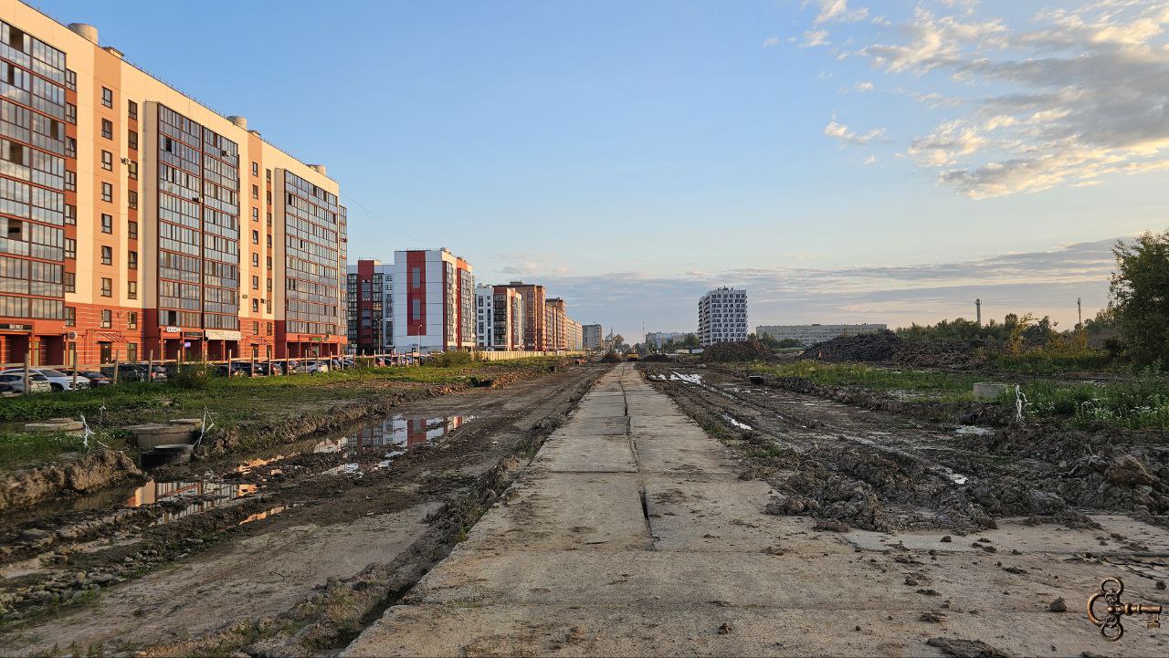 На продолжении Большой Московской высадят деревья