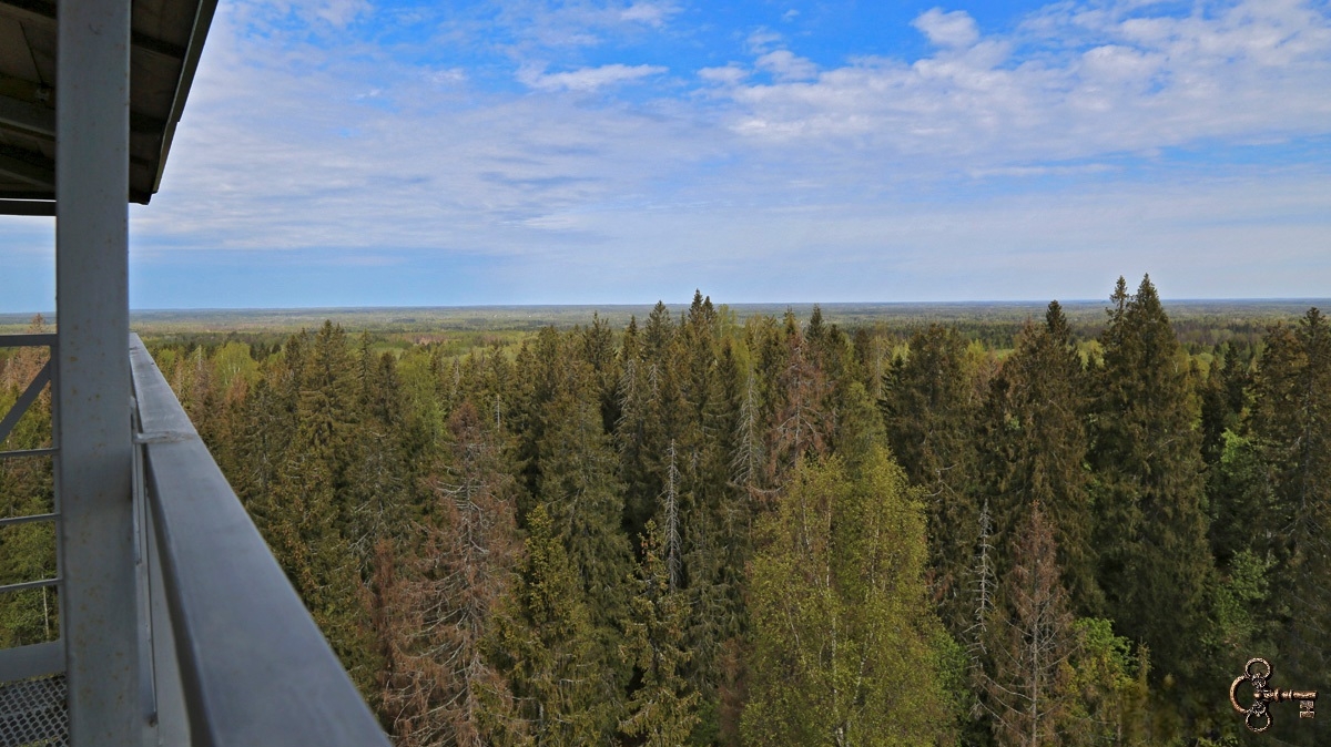 Вид с вышки на горе Рыжоха
