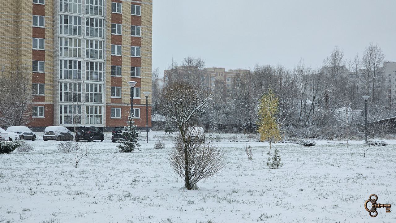 В Великом Новгороде выпал первый снег
