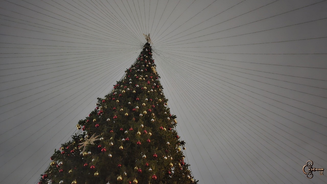 Ёлка на площади