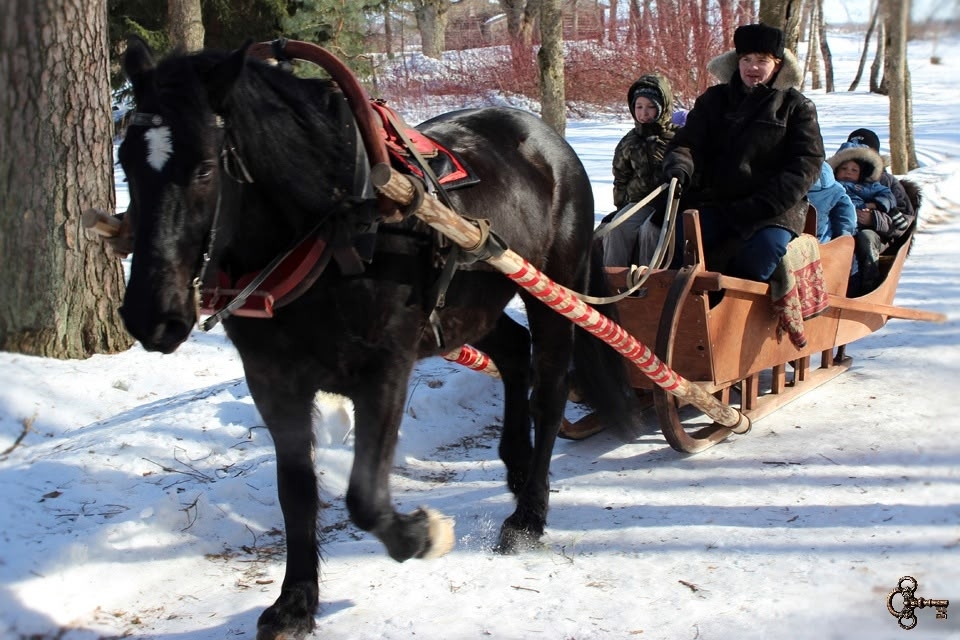 Катание на санях в Витославлицах