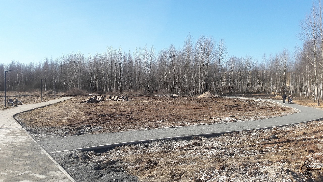 Парк с рощей