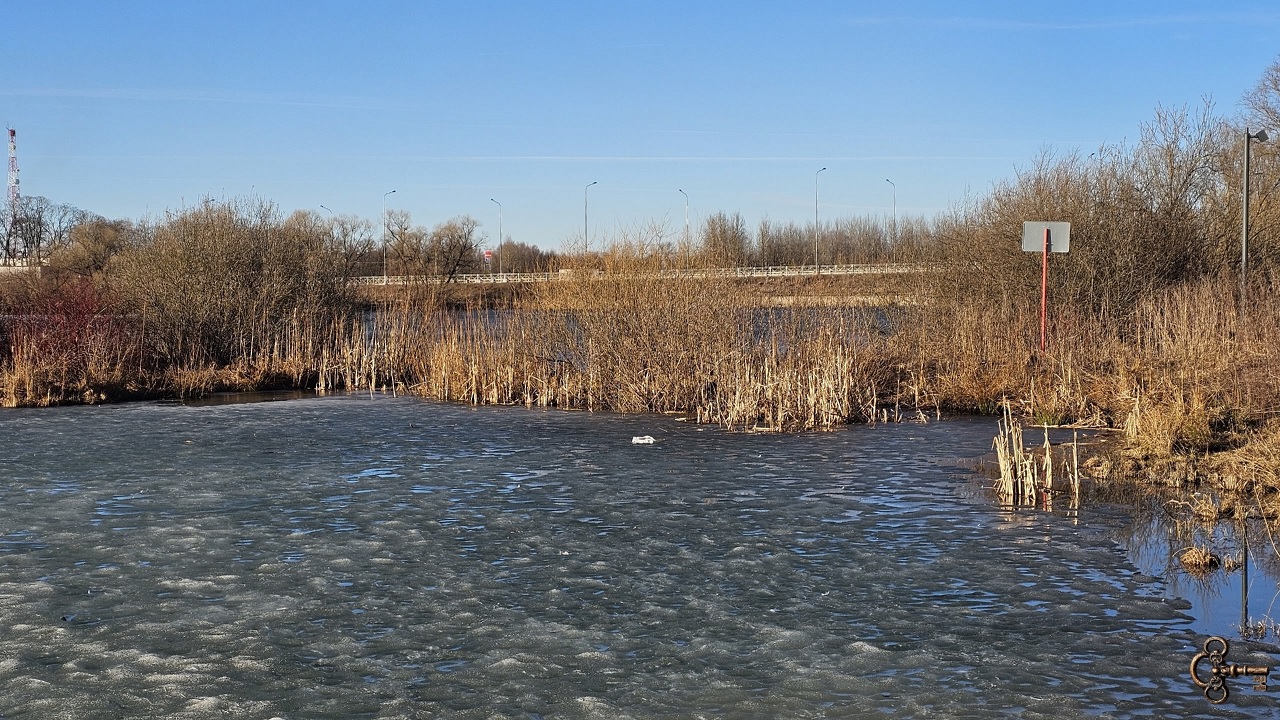 В парке «Чистые пруды» приступили к благоустройству