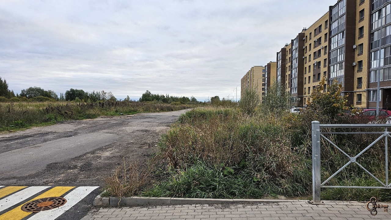 Определено развитие планировочной структуры Великого Новгорода