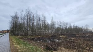 Луговая улица