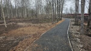 Дорожки в роще