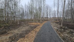 Выход на улицу Арциховского